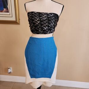 Chic Black and Blue Women's Pencil Skirt